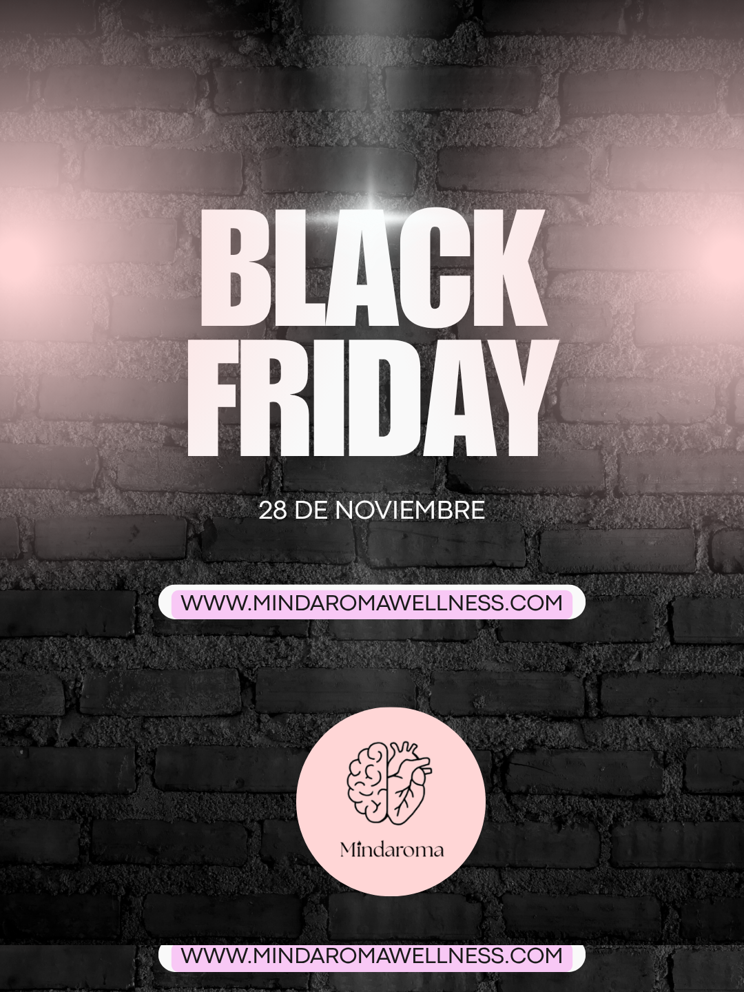 Black Friday llega a Mindaroma