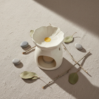 Vista cenital flat lay